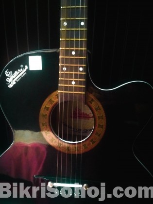 Semi-Electric Acoustic Signature Guitar